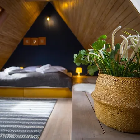 Pod Dachem W Centrum Apartzakop *