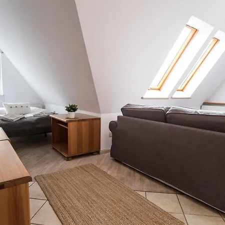 Pod Dachem W Centrum Apartzakop Закопане