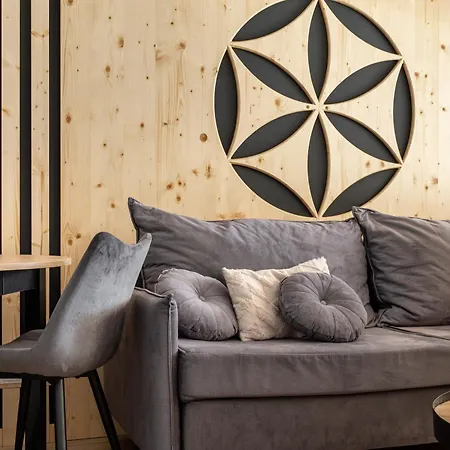 Pod Dachem W Centrum Apartzakop Апартаменты *