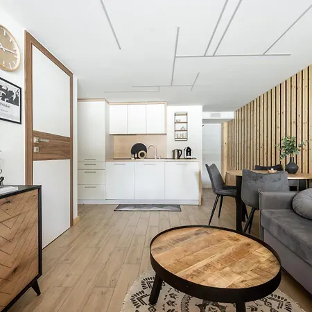 Pod Dachem W Centrum Apartzakop *