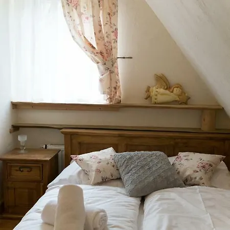 Lejlighed Pod Dachem W Centrum Apartzakop *
