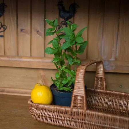 Pod Dachem W Centrum Apartzakop Zakopane