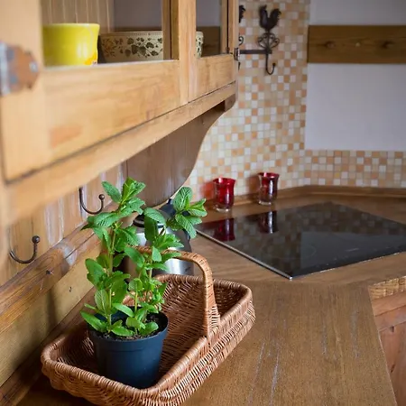 Pod Dachem W Centrum Apartzakop Zakopane