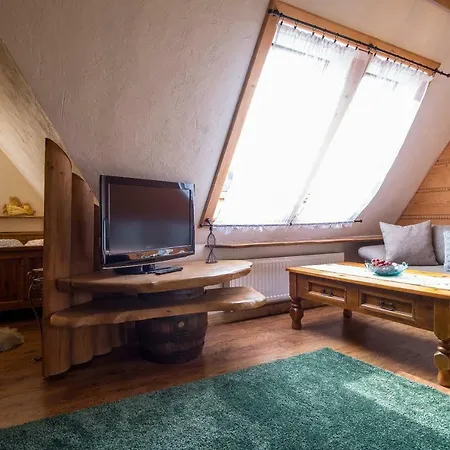 Pod Dachem W Centrum Apartzakop Закопане