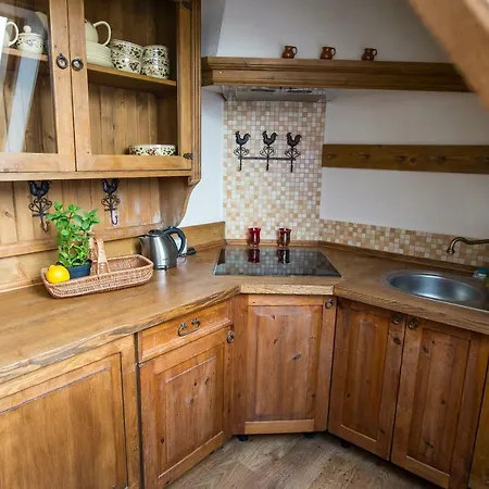 Pod Dachem W Centrum Apartzakop *