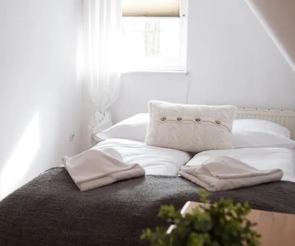 Pod Dachem W Centrum Apartzakop זקופאנה