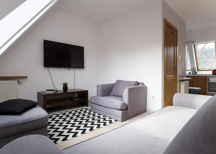 דירה Pod Dachem W Centrum Apartzakop זקופאנה