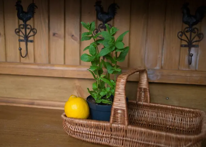 Pod Dachem W Centrum Apartzakop זקופאנה